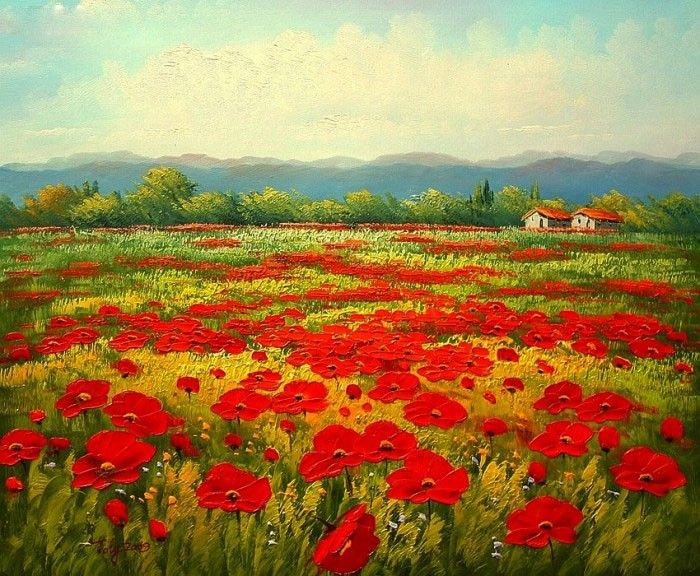 Unknown Poppy field